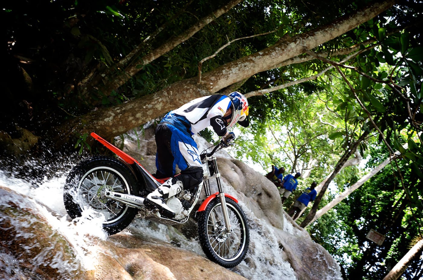Red Bull Jamaica (2012-2015)