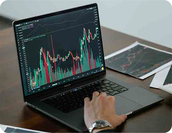 Explore our new reporting solution